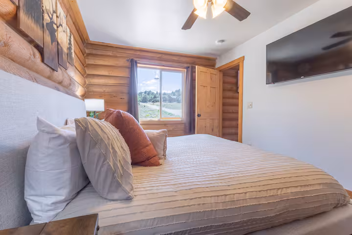 Campfire Cove — Entertainment Roku