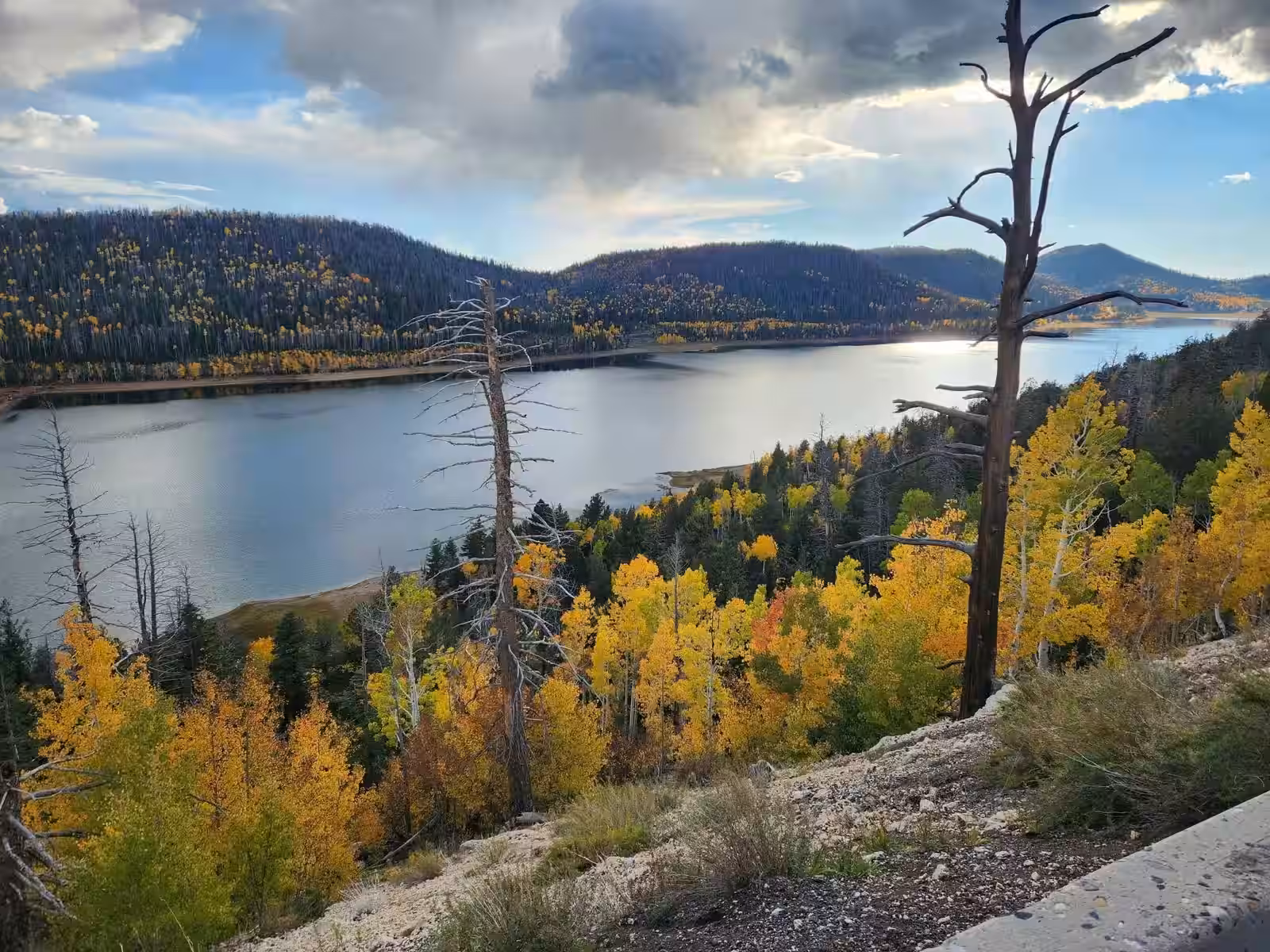 Navajo Lake fall colors aerial view Utah