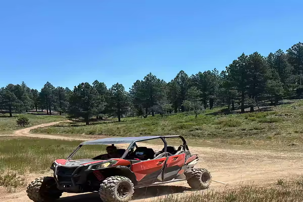 Side by side UTV Dixie National Forest Utah