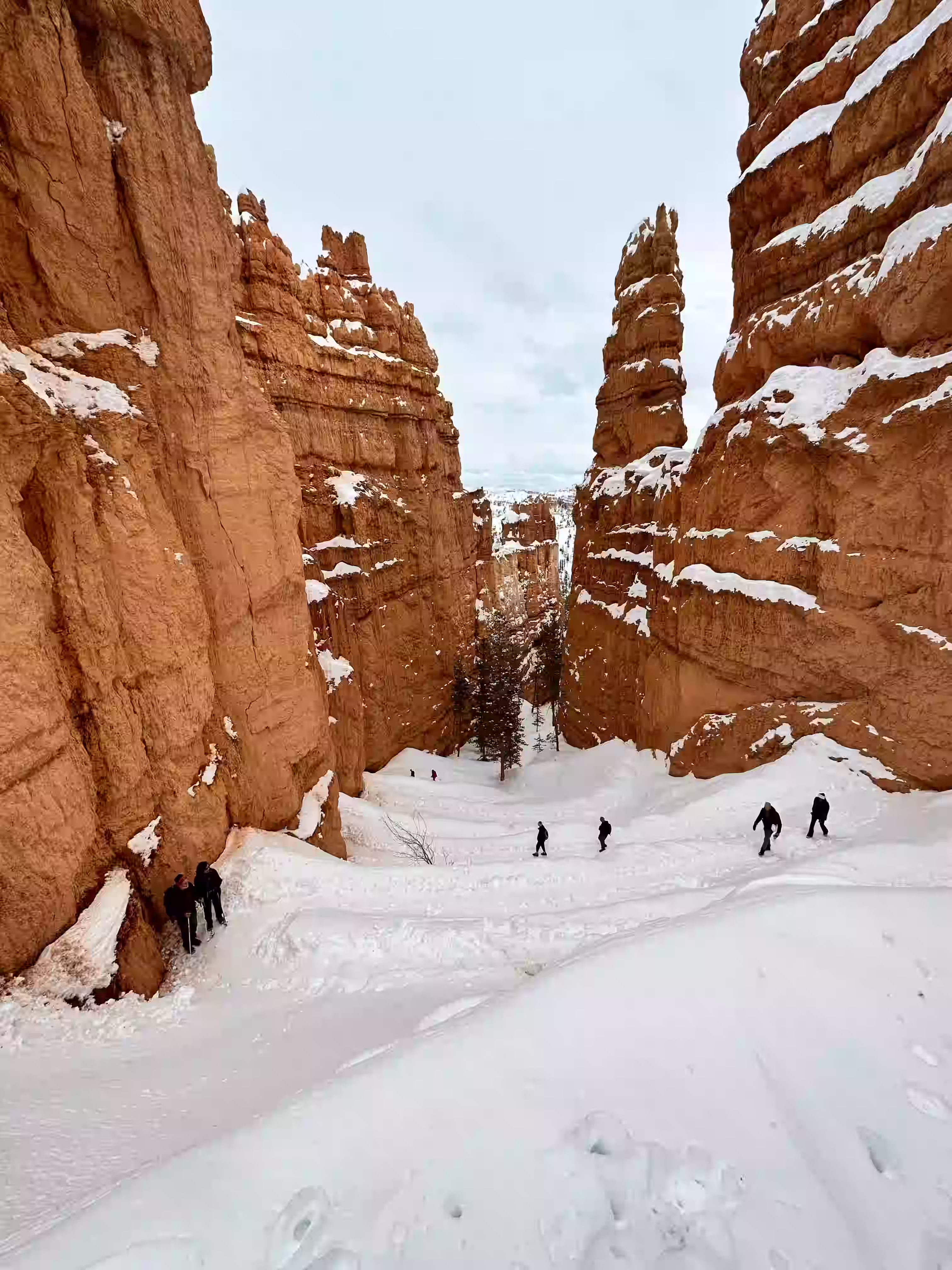 Bryce canyon wall street winter snow utah