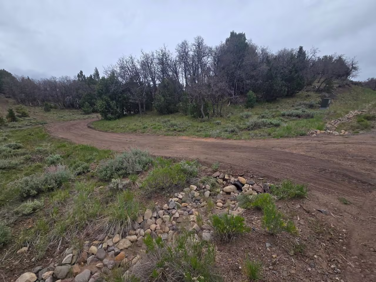Dirt road entrance to the mid camping site at Starlit Ridge