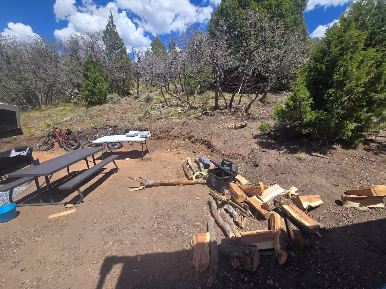 Campsite with picnic table, bikes and split firewood at Starlit Ridge