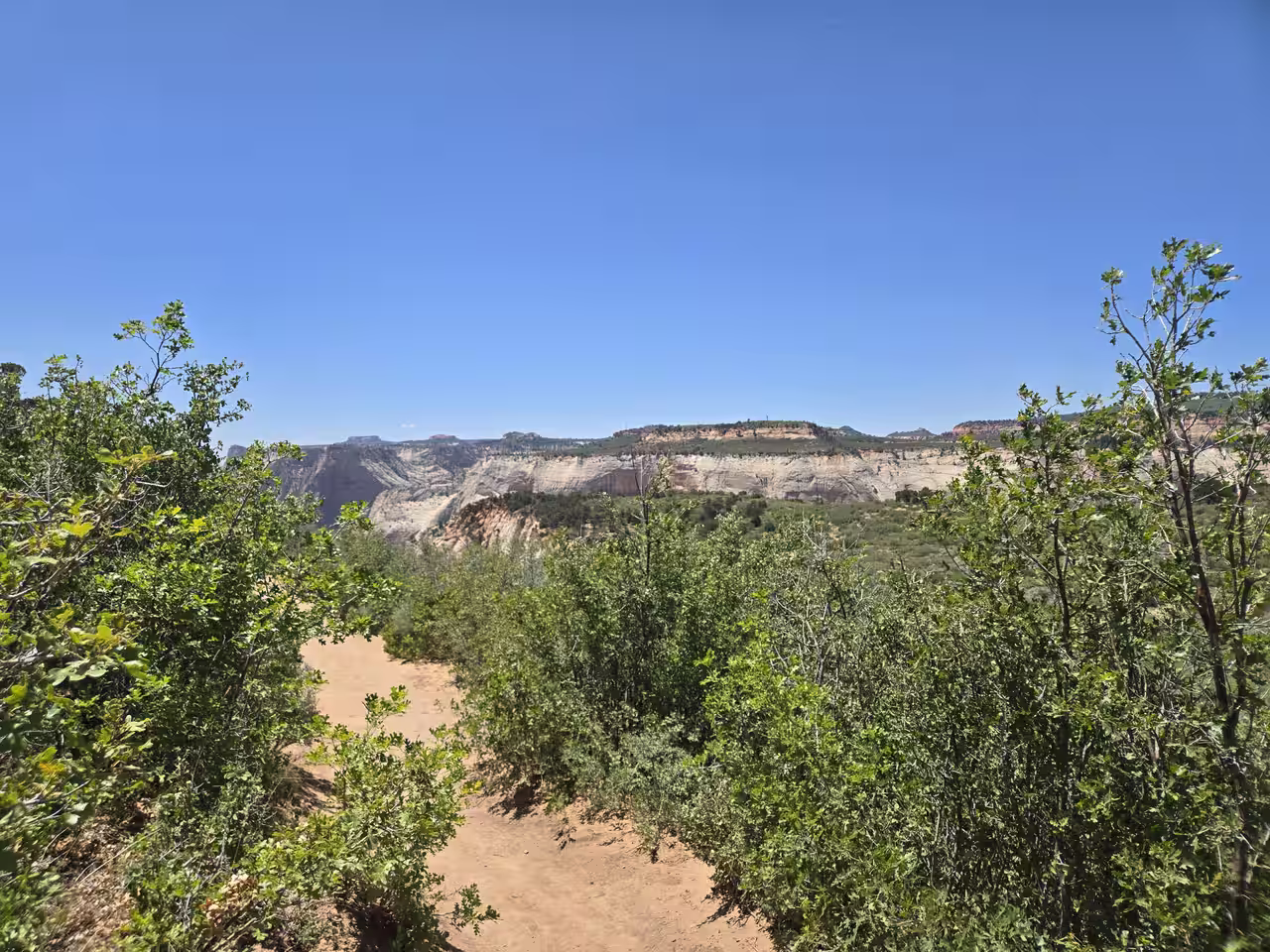 Sandy trail through low brush opening onto a view of Zion Canyon's white cliffs