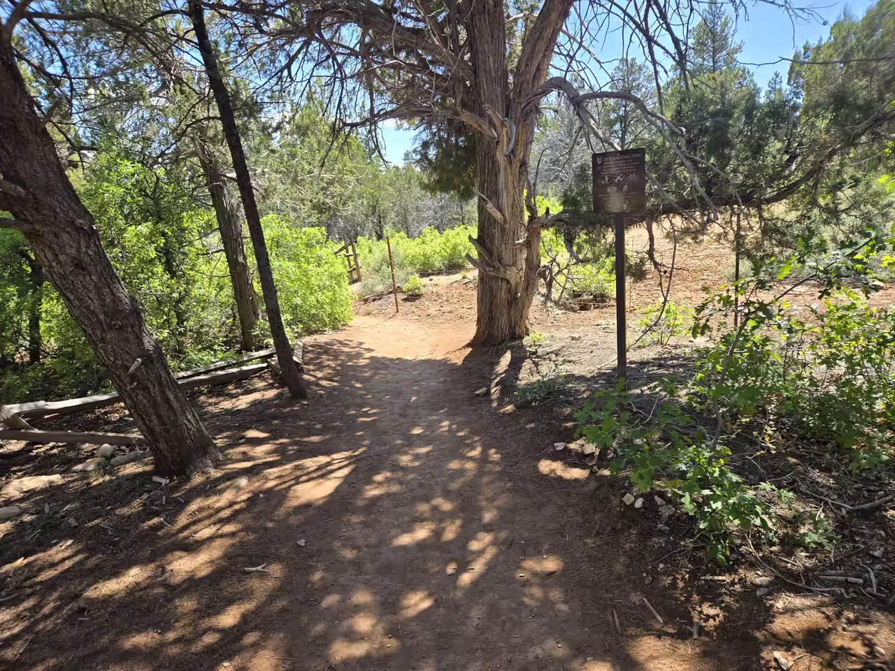 Sandy trail beginning at the East Mesa Trailhead, framed by a large juniper tree and informational sign