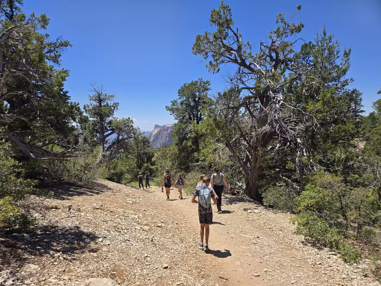 Family hiking the East Mesa Trail with a glimpse of distant canyon formations ahead