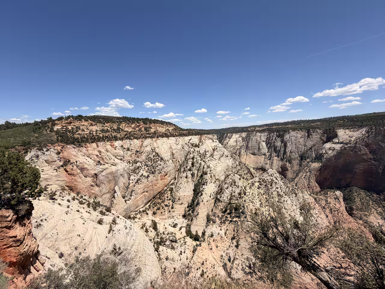 Narrow slot canyon with swirled white sandstone walls near Observation Point