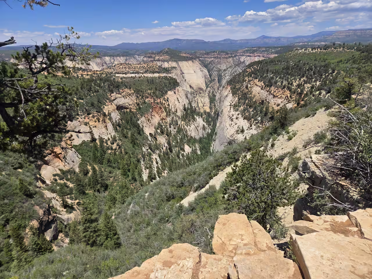 Zion canyon white cliffs overlook east mesa