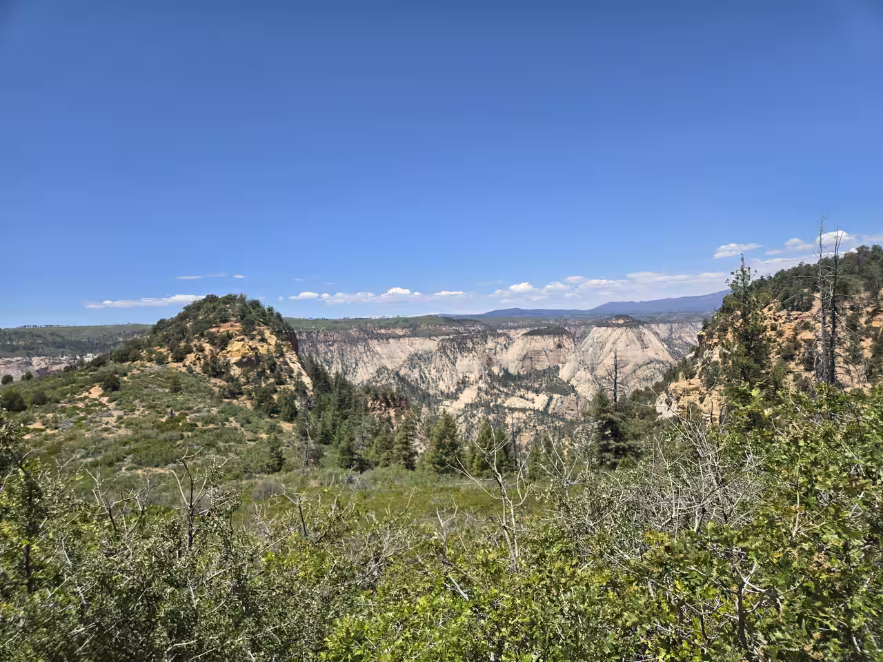 Wide panoramic view of Zion Canyon's white cliffs from the East Mesa Trail approach