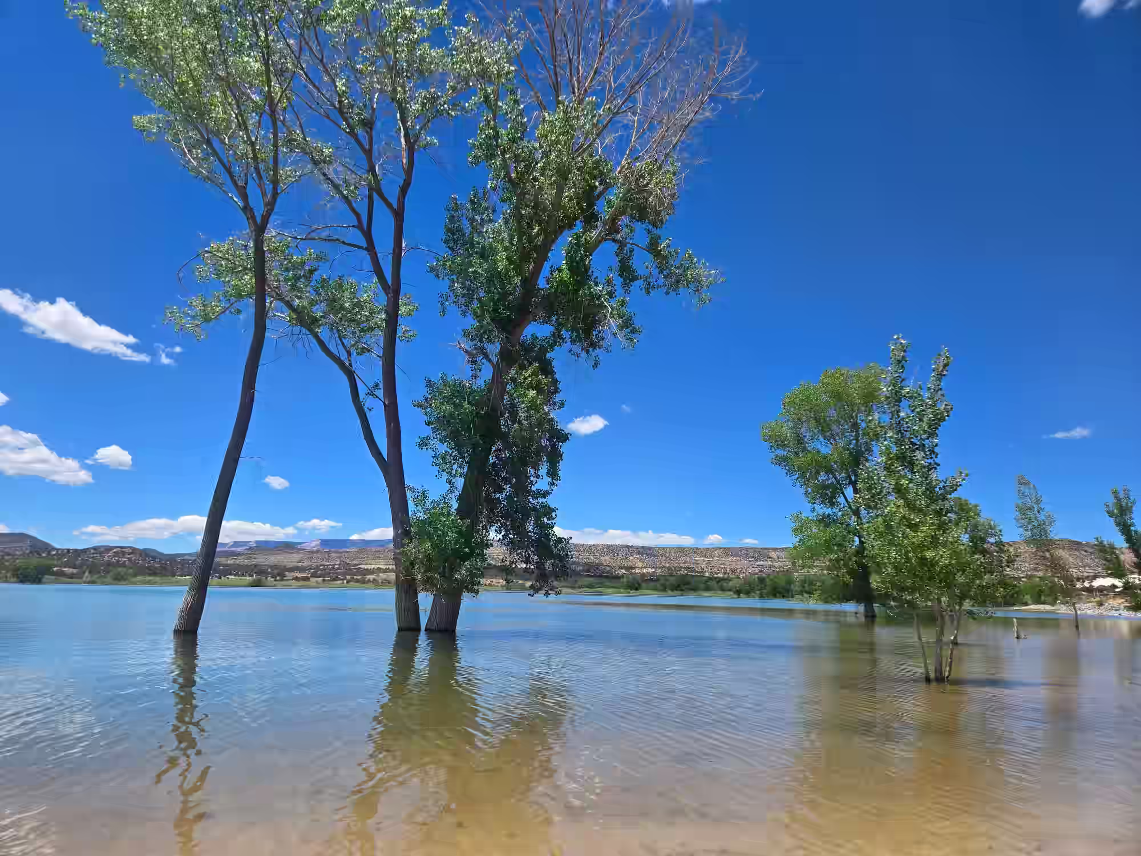 Escalante Petrified Forest State Park Utah