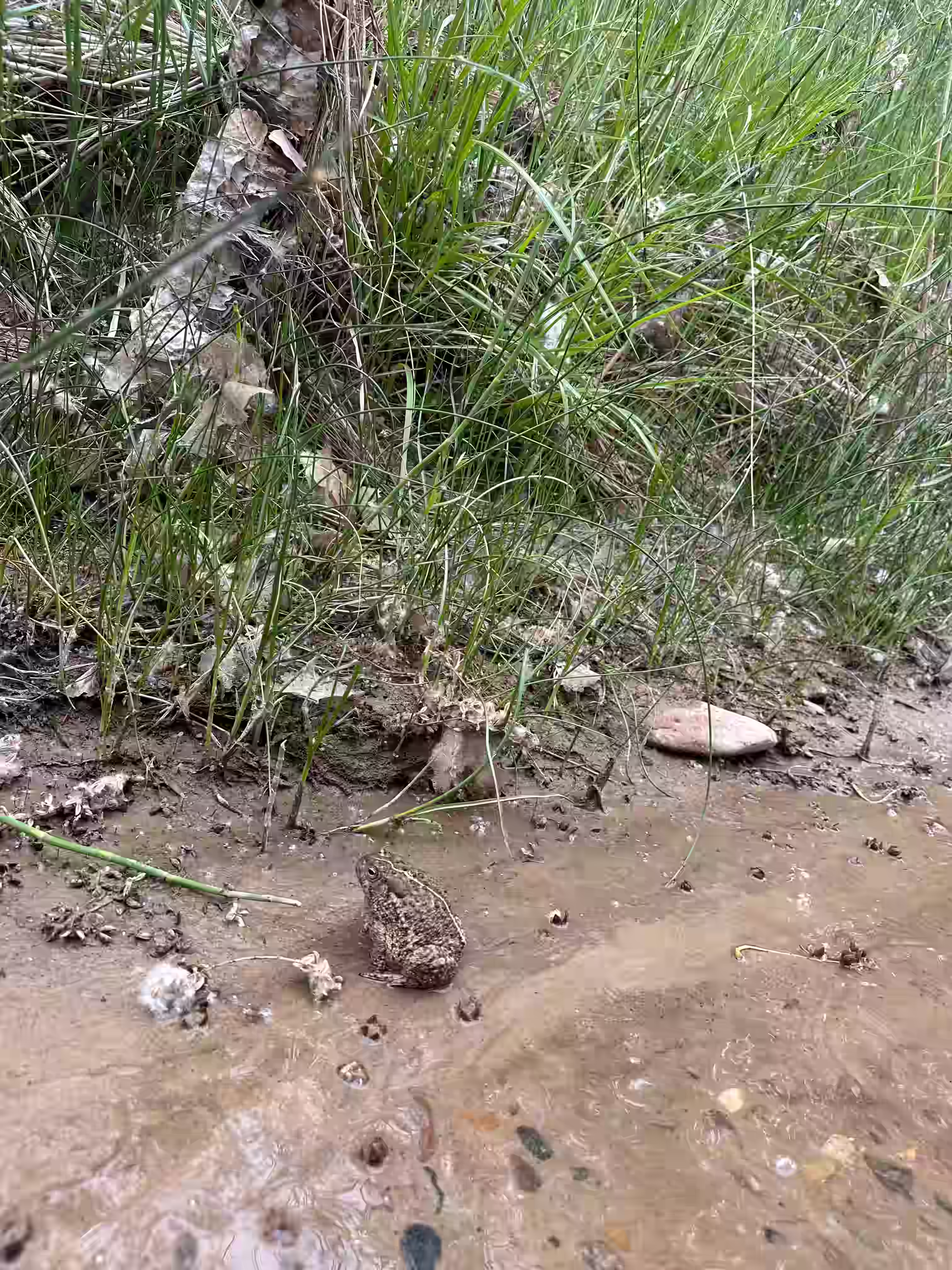 Escalante River canyon southern Utah