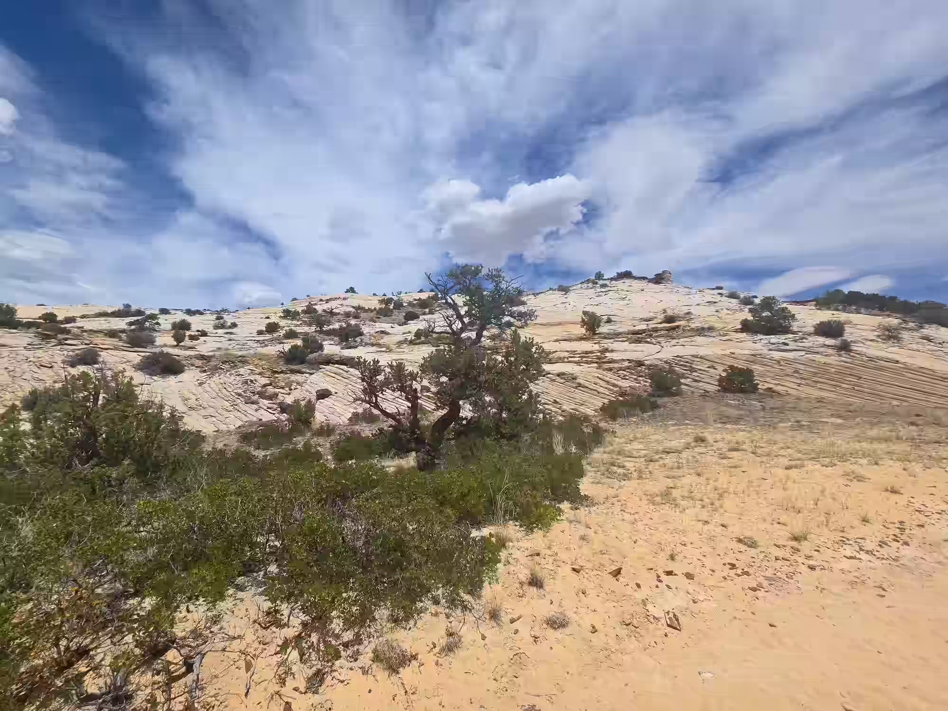 Upper Calf Creek Falls — 87-foot waterfall off UT-12 Utah